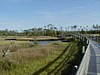 45 Croatan National Forest.jpg